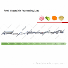 Leaf Vegetable processing machinery